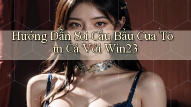 hướng dẫn soi cầu bầu cua tôm cá với win23