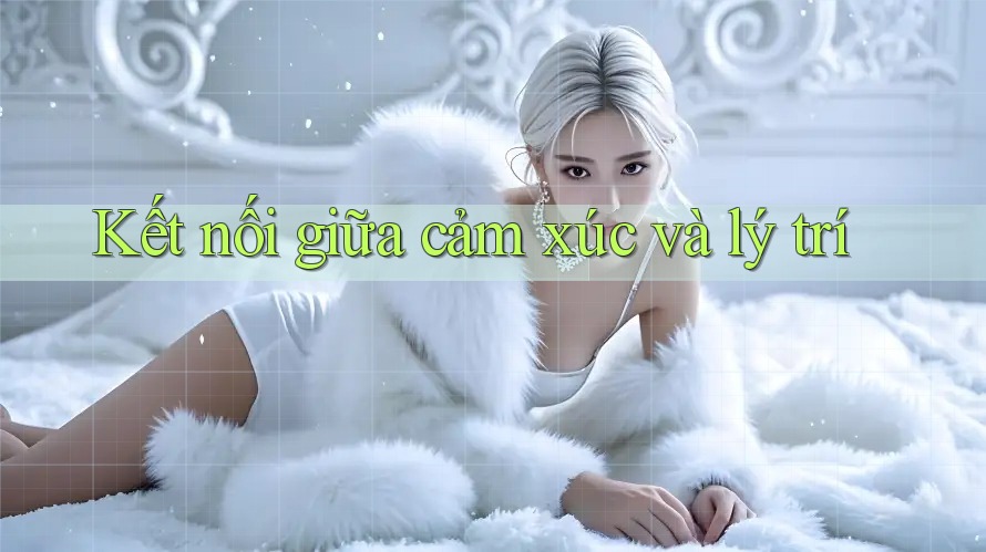 Kết nối giữa cảm xúc và lý trí Kết nối giữa cảm xúc và lý trí