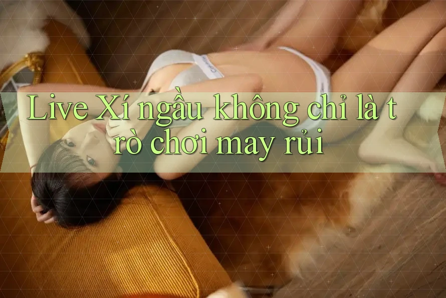 Live Xí ngầu không chỉ là trò chơi may rủi