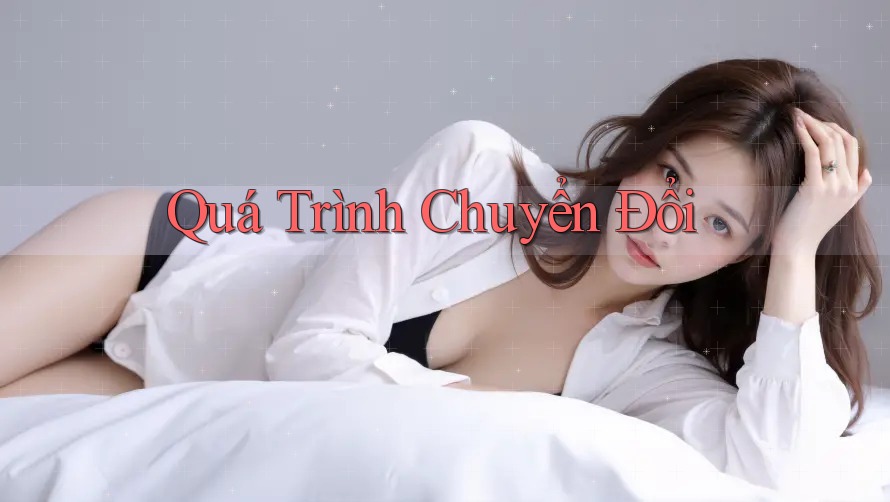 Quá Trình Chuyển Đổi Quá Trình Chuyển Đổi