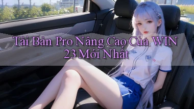 tải bản pro nâng cao của win23 mới nhất