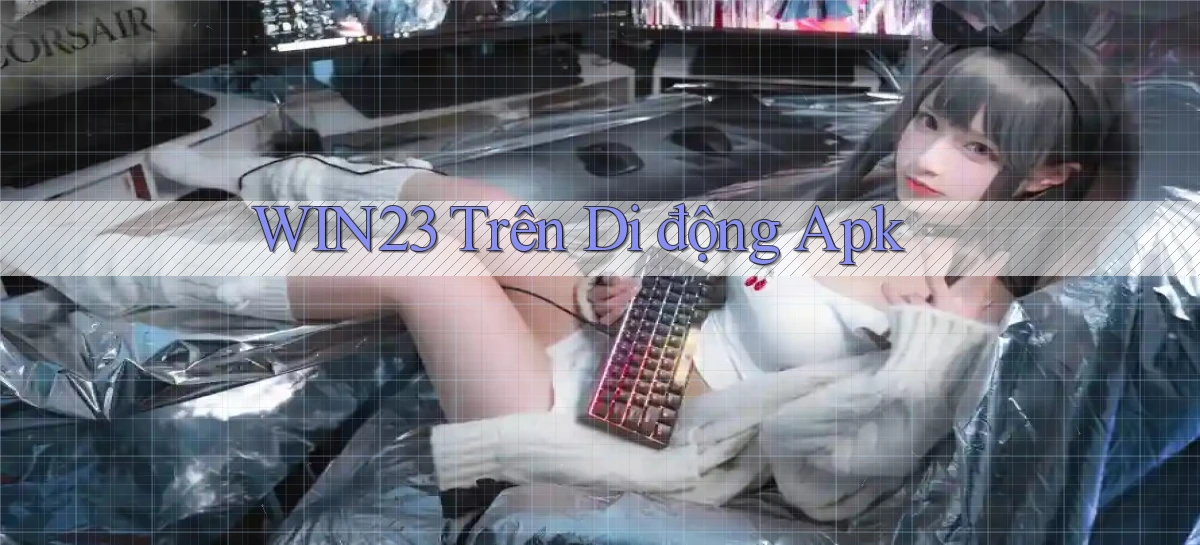 win23 trên di động apk