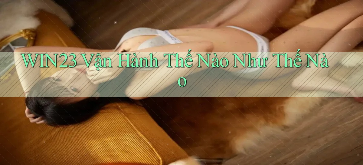 win23 vận hành thế nào như thế nào