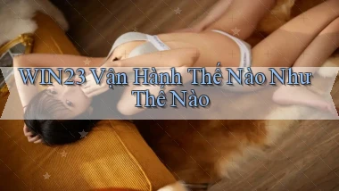 win23 vận hành thế nào như thế nào