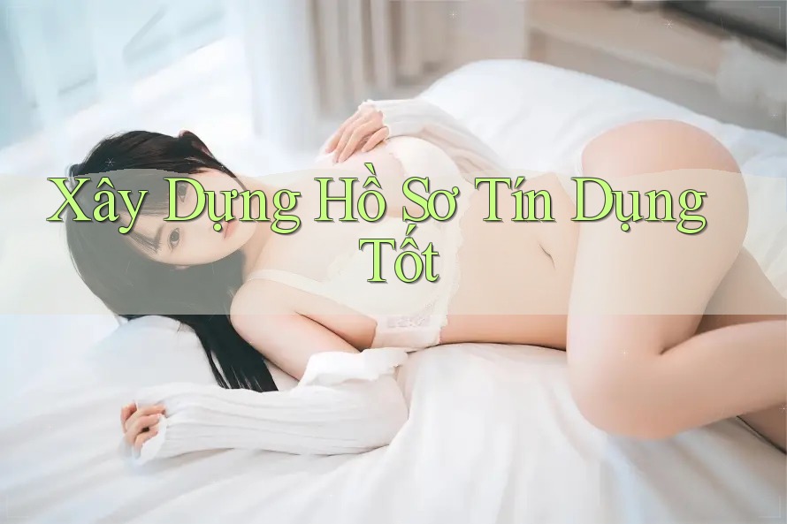 Xây Dựng Hồ Sơ Tín Dụng Tốt