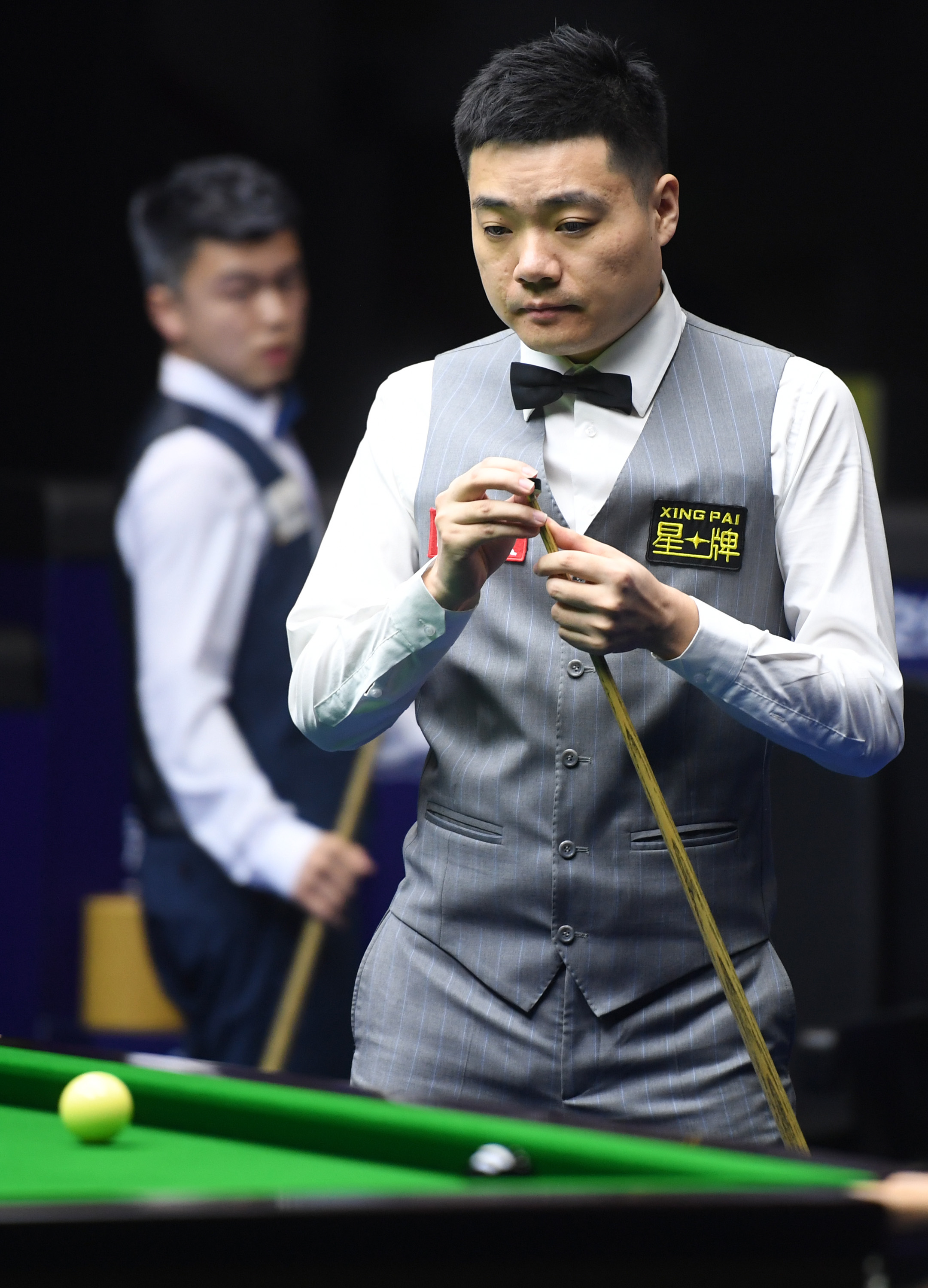 章在搜索引 章在搜索引