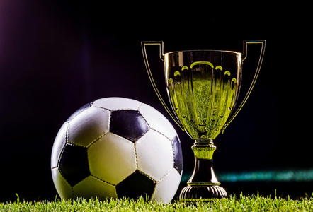 纷贡献了精 纷贡献了精