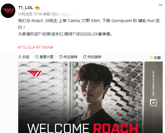 种生活的真 种生活的真