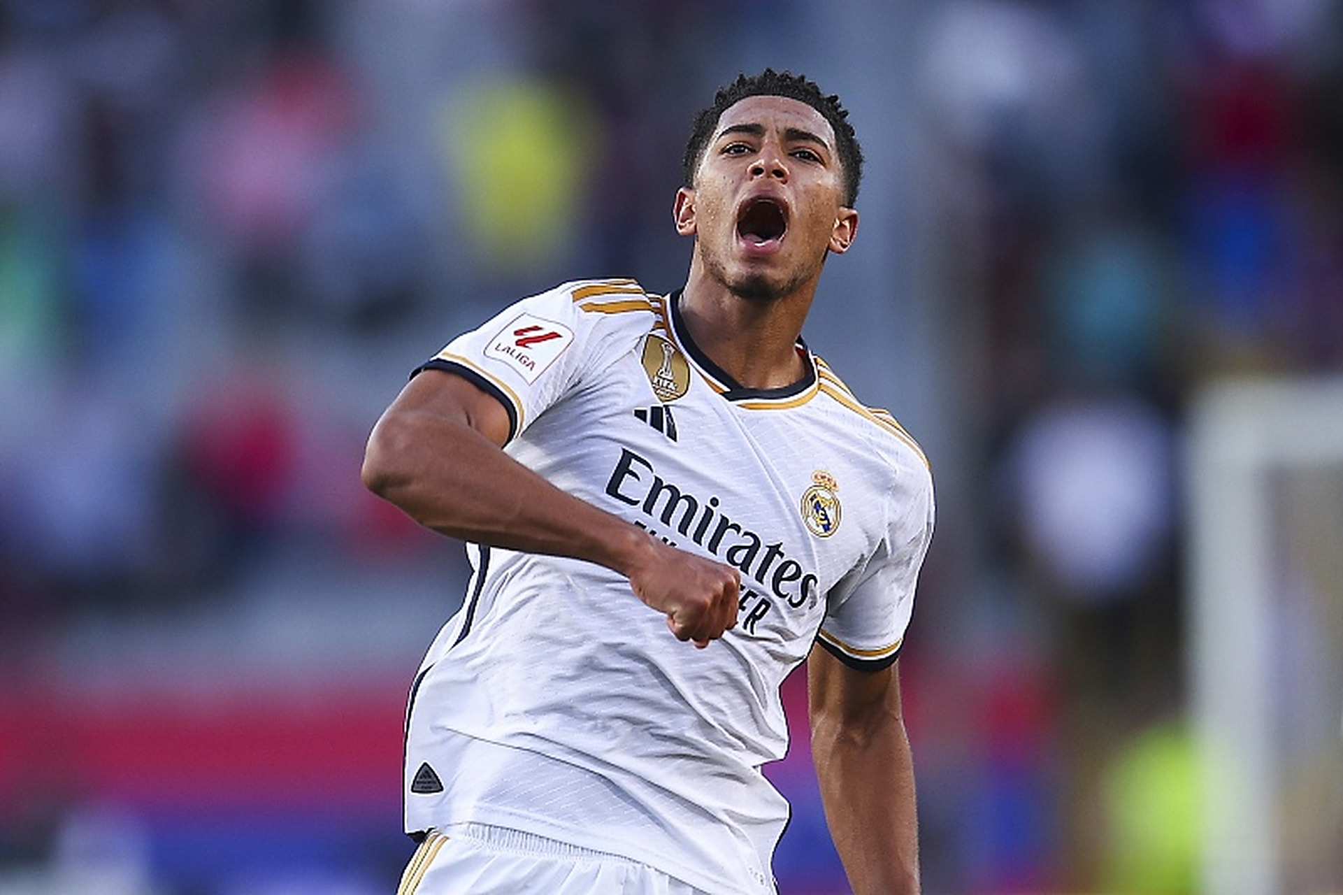 他们采用了 他们采用了