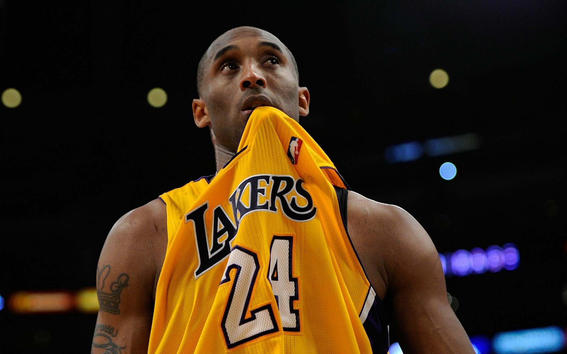 试训名单与 试训名单与